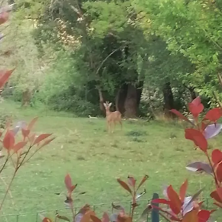L'esquirou Du Secadou Vakantiehuis Castels