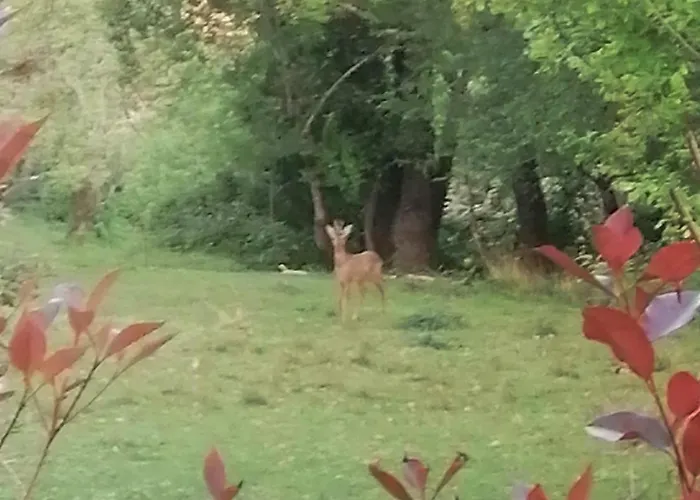 L'esquiròu Du Sécadou Сasa de vacaciones Castels